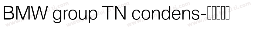 BMW group TN condens字体转换